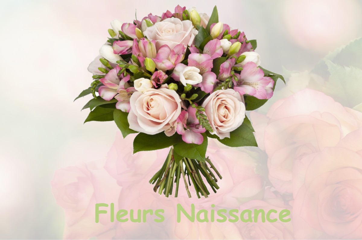 fleurs naissance SAINTE-CERONNE-LES-MORTAGNE