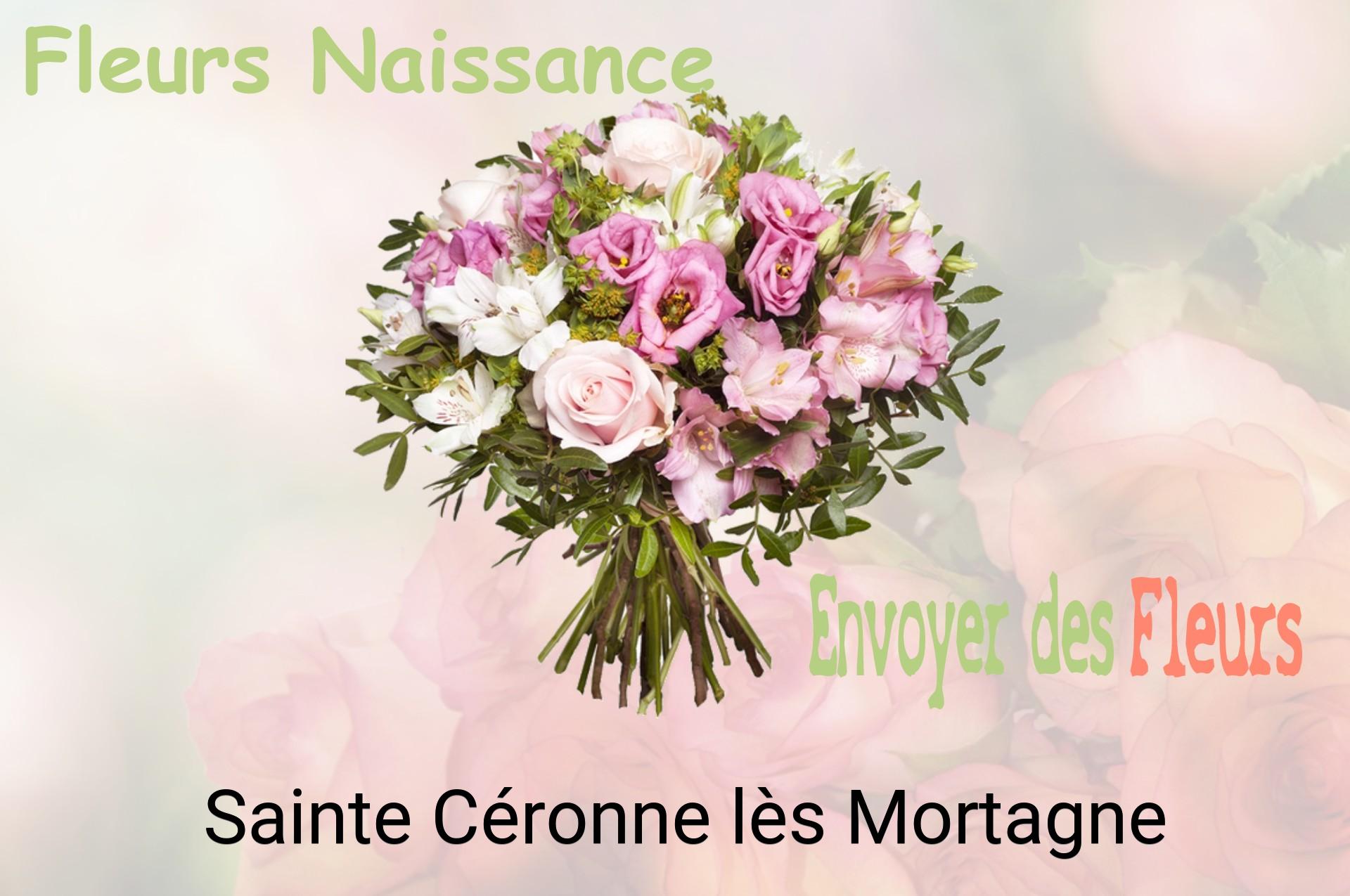 Bouquet de fleurs de naissance livré à Sainte-Céronne-lès-Mortagne