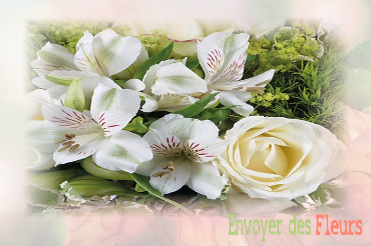 envoyer des fleurs à à SAINTE-CERONNE-LES-MORTAGNE