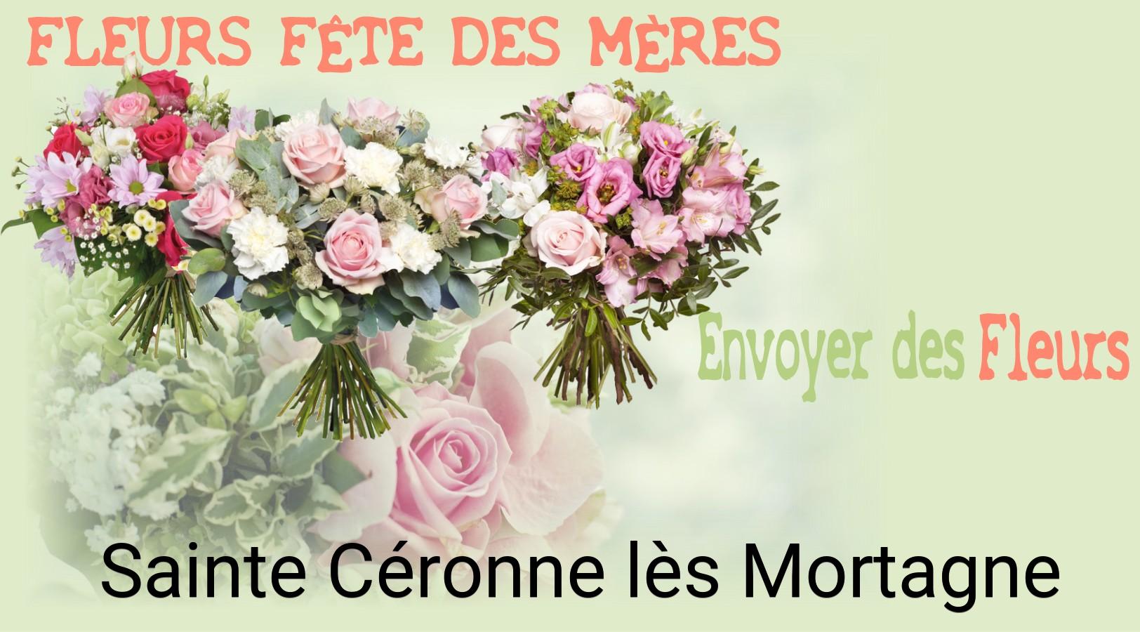 Bouquet de Fête des Mères livré à Sainte-Céronne-lès-Mortagne